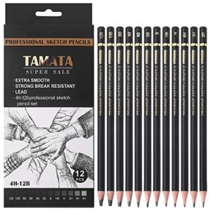 rvogjp tamata professional drawing sketching pencil set – 12 pieces art drawing graphite pencils(12b – 4h), ideal for drawing art, sketching, shading, for beginners & pro artists