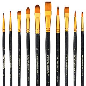 Transon 20pcs Art Painting Brush Set for Acrylic Watercolor Gouache Hobby Craft Face Painting