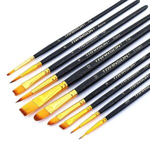 Transon 20pcs Art Painting Brush Set for Acrylic Watercolor Gouache Hobby Craft Face Painting