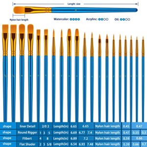 Paint Brushes Set, 30 Pcs Paint Brushes for Acrylic Painting, Oil Watercolor Acrylic Paint Brush, Artist Paintbrushes for Body Face Rock Canvas, Kids Adult Drawing Arts Crafts Supplies, Blue