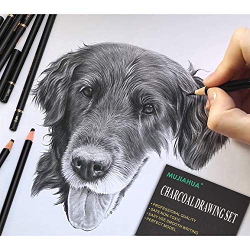 MUJINHUA Professional Charcoal Pencils Drawing Set - 12 Pieces Soft, Medium & Hard Charcoal Pencils for Drawing, Sketching, Shading, Ideal Artist Pencils for Beginners & Artists