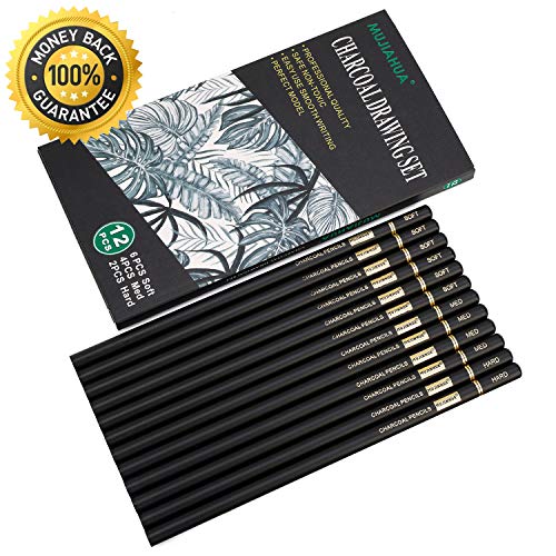 MUJINHUA Professional Charcoal Pencils Drawing Set - 12 Pieces Soft, Medium & Hard Charcoal Pencils for Drawing, Sketching, Shading, Ideal Artist Pencils for Beginners & Artists