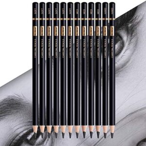 MUJINHUA Professional Charcoal Pencils Drawing Set - 12 Pieces Soft, Medium & Hard Charcoal Pencils for Drawing, Sketching, Shading, Ideal Artist Pencils for Beginners & Artists