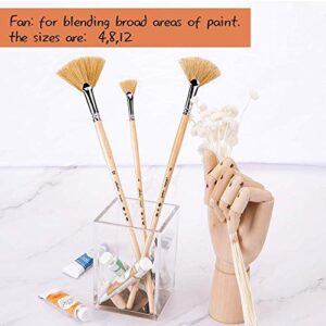 Oil Acrylic Paint Brushes Artist Fan Paint Brush Set Hog Bristle Long Handle Painting Brush. (3Pcs)