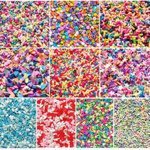 EHOPE 120G Fake Sprinkles Polymer Sprinkles Faux Sprinkles Resin Sprinkles Clay Sprinkles For Resin Fake Candy Sprinkles for Nail Art DIY Crafts Cake Phone Case( 10 Colors-120g )