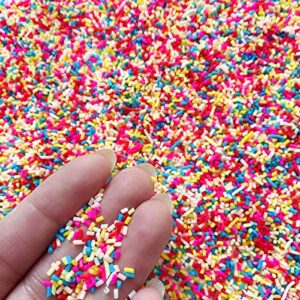 EHOPE 120G Fake Sprinkles Polymer Sprinkles Faux Sprinkles Resin Sprinkles Clay Sprinkles For Resin Fake Candy Sprinkles for Nail Art DIY Crafts Cake Phone Case( 10 Colors-120g )