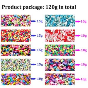 EHOPE 120G Fake Sprinkles Polymer Sprinkles Faux Sprinkles Resin Sprinkles Clay Sprinkles For Resin Fake Candy Sprinkles for Nail Art DIY Crafts Cake Phone Case( 10 Colors-120g )