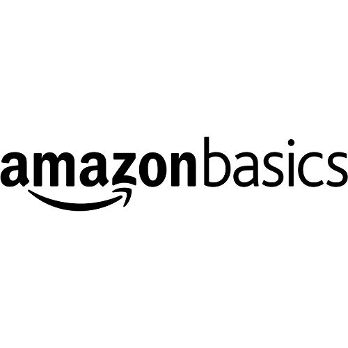 Amazon Basics Laptop Computer Backpack with padded shoulder straps and Organizational compartments (Black) & Ergonomic Wireless Mouse - DPI adjustable - Black