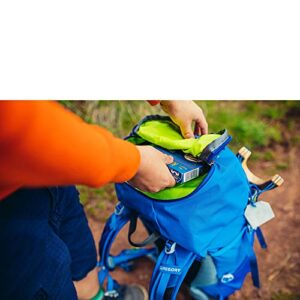 Gregory Mountain Products Icarus 40 Liter Kid's Hiking Backpack , Capri Green