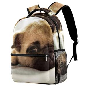 school backpack travel backpack,boy girl backpack,pug dog,outdoor sports rucksack casual daypack
