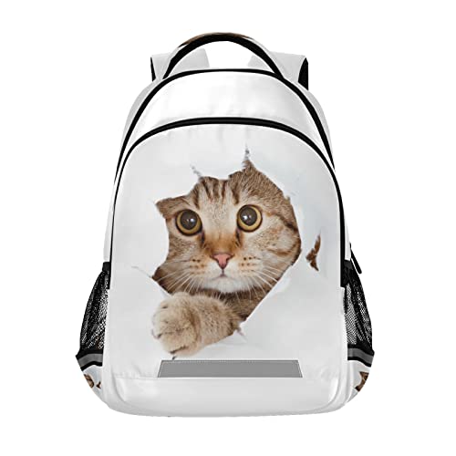 Dallonan Backpack Lovely Cat Funny Animal White School College Backpack Laptop Casual Daypack