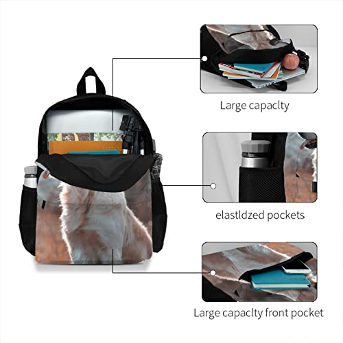 Custom Backpack,Personalized Men and Women Travel Knapsack Add Your Photo/Text, Customized Laptop School Bag for Boy Girl One Size