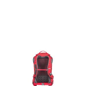 Gregory Mountain Products Men's Salvo 18 Liter Backpack, Tango Red, One Size