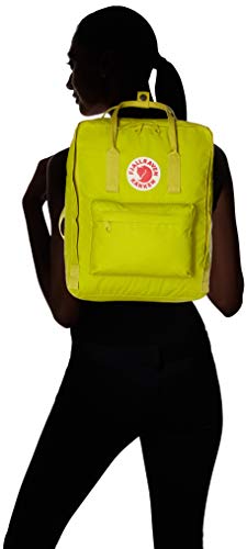 Fjallraven - Kanken Classic Backpack for Everyday, Birch Green