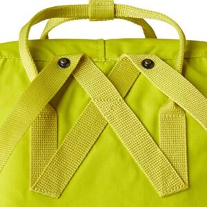 Fjallraven - Kanken Classic Backpack for Everyday, Birch Green