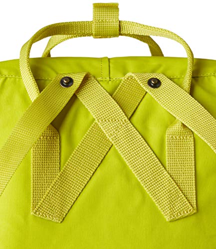 Fjallraven - Kanken Classic Backpack for Everyday, Birch Green