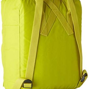 Fjallraven - Kanken Classic Backpack for Everyday, Birch Green