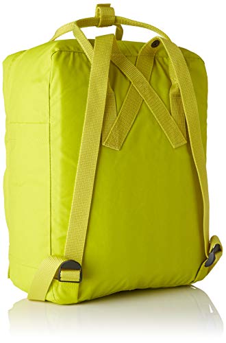 Fjallraven - Kanken Classic Backpack for Everyday, Birch Green