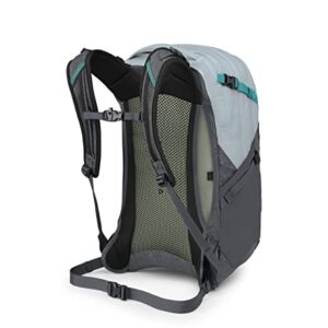 Osprey Tropos 32 Laptop Backpack, Silver Lining/Tunnel Vision Pop