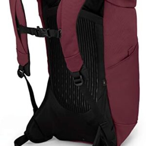 Osprey Archeon 25 Laptop Backpack