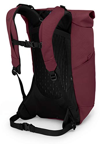 Osprey Archeon 25 Laptop Backpack