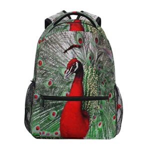 red peacock with beautiful feathers school backpack college bookbag lightweight travel laptop ipad tablet shoulder bag business daypack for girl boys women men m