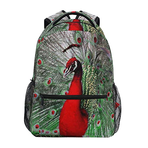 Red Peacock With Beautiful Feathers School Backpack College Bookbag Lightweight Travel Laptop iPad Tablet Shoulder Bag Business Daypack for Girl Boys Women Men M