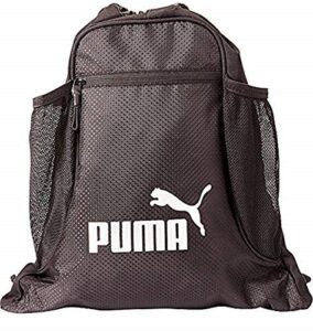 puma evercat equinox carrysack