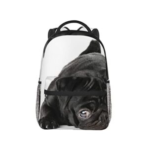 Black Pug Dog Casual Bookbag Backpack For Travel Teen Girls Boys Adult Gift