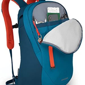 Osprey Apogee Men's Laptop Backpack, Scoria Blue