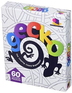 brainwright gecko, the leaping lizard brainteaser puzzle