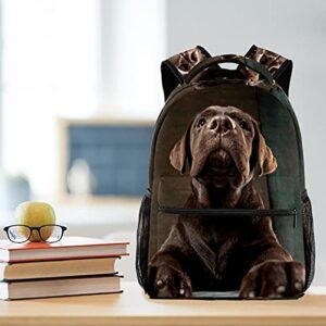 Beautiful Chocolate Labrador Retriever Puppy Backpack Students Shoulder Bags Travel Bag College School Tote Backpacks