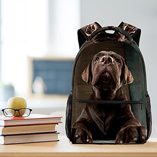 Beautiful Chocolate Labrador Retriever Puppy Backpack Students Shoulder Bags Travel Bag College School Tote Backpacks