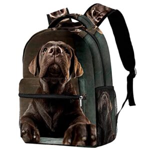 beautiful chocolate labrador retriever puppy backpack students shoulder bags travel bag college school tote backpacks