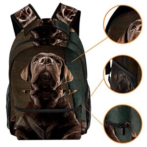 Beautiful Chocolate Labrador Retriever Puppy Backpack Students Shoulder Bags Travel Bag College School Tote Backpacks