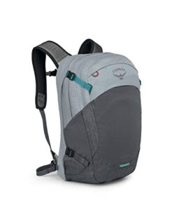 osprey nebula 32 laptop backpack, silver lining/tunnel vision pop