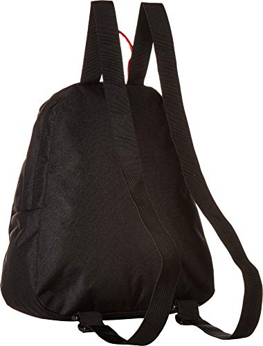 JanSport Half Pint Mini Backpack (Mexican Flag, One Size)