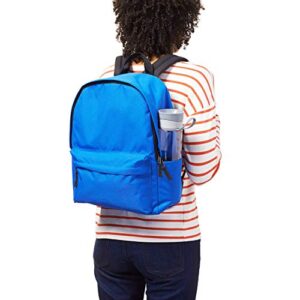 Amazon Basics Classic School Backpack - Royal Blue