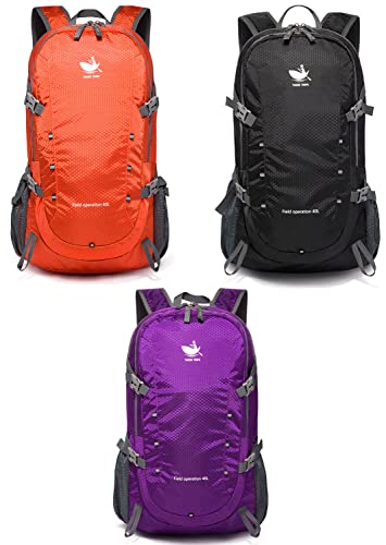 vimapo Packable Lightweight Backpack 40L, Ripstop Nylon Foldable Traveling Daypack, Collapsible Hiking Backpack For Outdoor(Black)