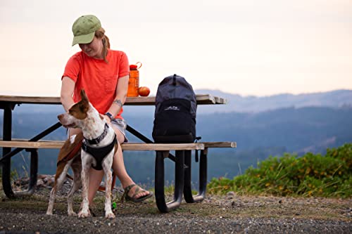 ALPS Mountaineering Tempo 18L Pack