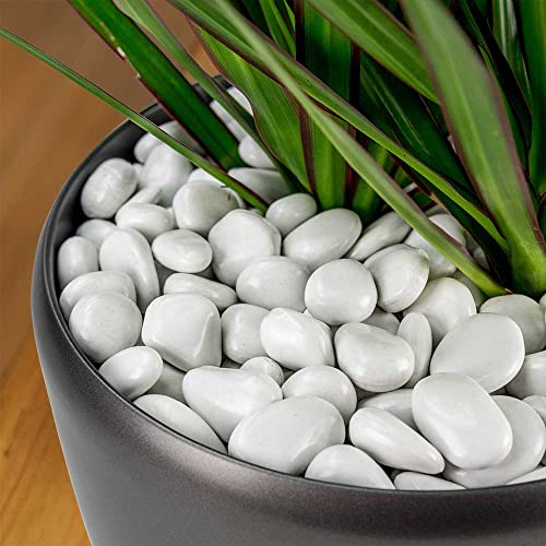 PolyPebbles Polished Composite Decorative Stones | Triple The Coverage of Natural Stone | 100% Recycled Materials + Nature Friendly | Won't Fade or Crack | Small (.5" - 1") Size | 2.4 Lbs White