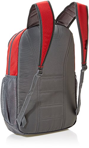 Amazon Basics Sport Laptop Backpack - Red