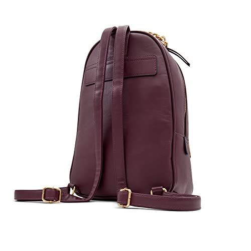 ALDO womens Galilinia Backpack, Bordo, Large US