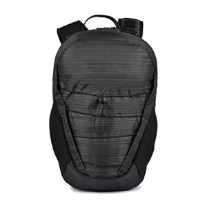 pacsafe venturesafe x12 12l anti-theft outdoor daypack – fits 11″ laptop, charcoal diamond