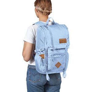 JanSport JS0A47J485V Hatchet Hydrangea