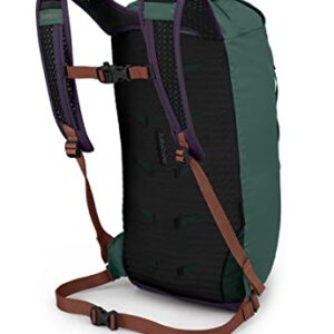 Osprey Daylite Cinch Daypack, AXO Green/Enchantment Purple