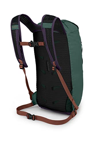 Osprey Daylite Cinch Daypack, AXO Green/Enchantment Purple