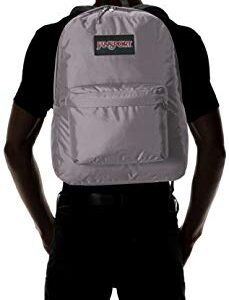 JanSport Ashbury Grey Horizon One Size