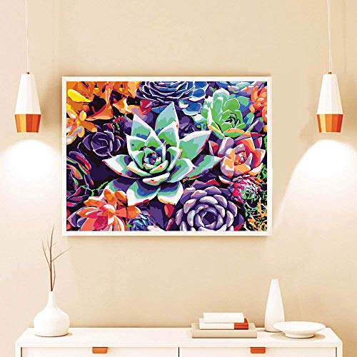 eniref Paint by Numbers for Adults, Drawing On Canvas Paintwork with Paintbrushes Acrylic Paints,Without Frame DIY Succulent Plants Oil Painting for Home Wall Decoration16x20 Inch