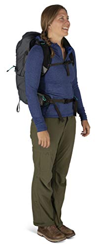 Osprey Tempest Pro 28 Women's Hiking Backpack, Titanium, Medium/Large